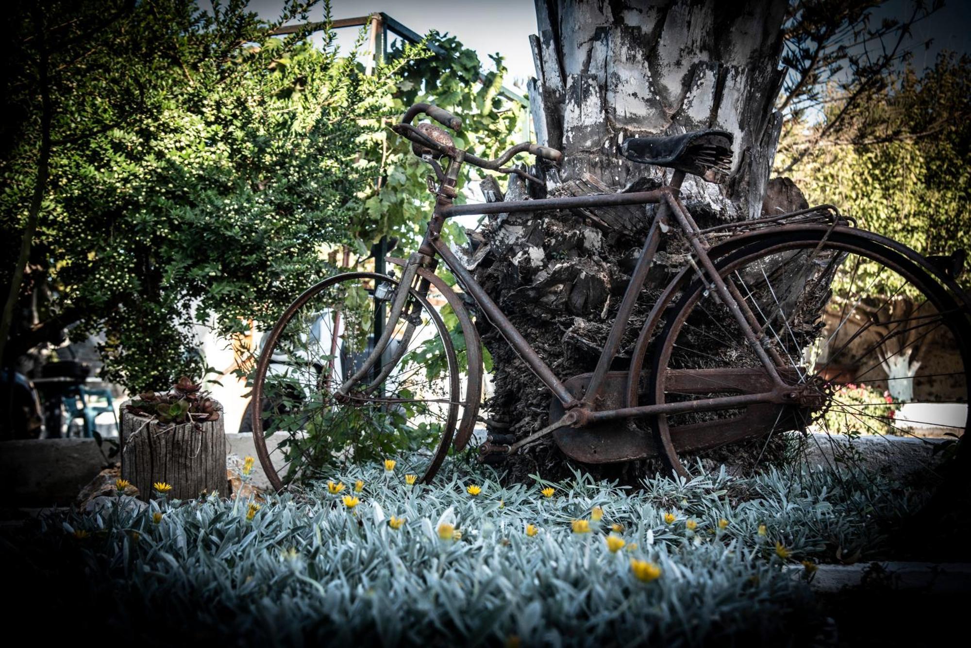 Nikos Studios Kéfalos Buitenkant foto